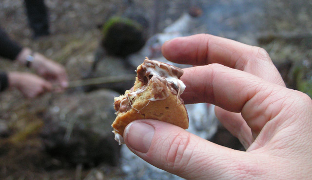 S'mores