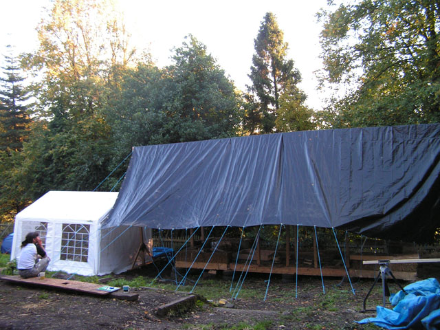 pegged out tarp
