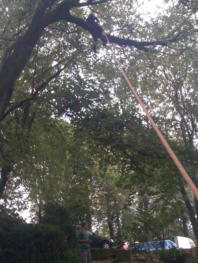 Rob hanging the rope swing