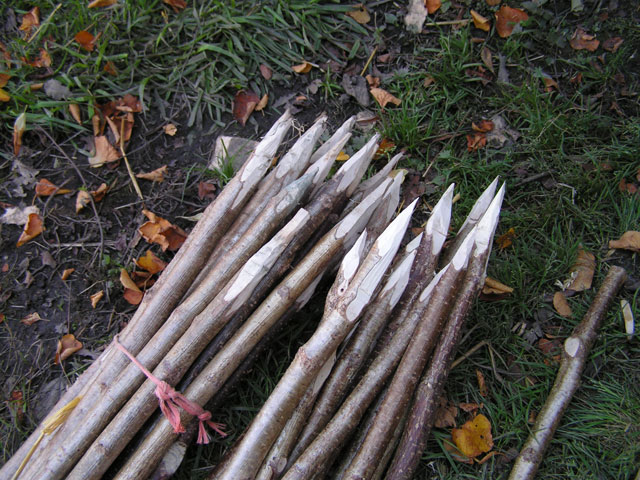 sharpened stakes