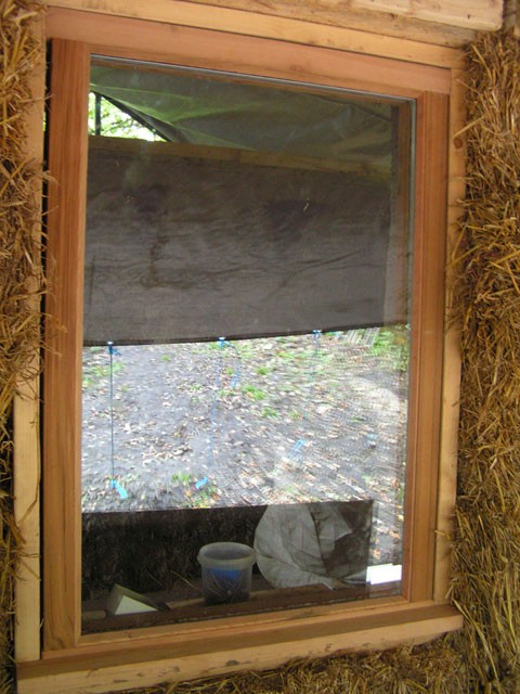 cedar window