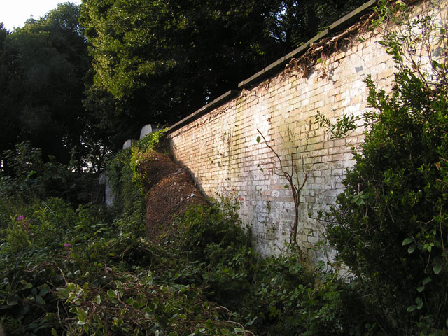 the back wall, ivy free
