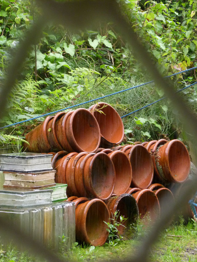 pots in the rain