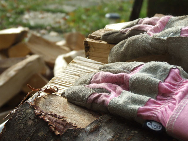 Gloves on the woodpile