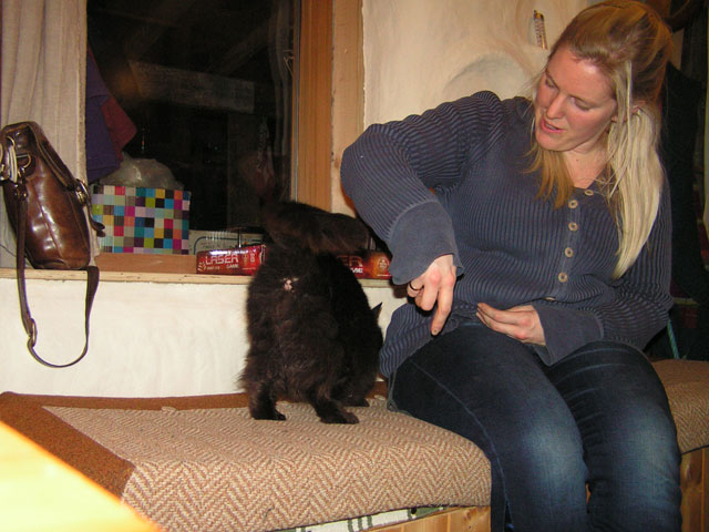Cat Bum