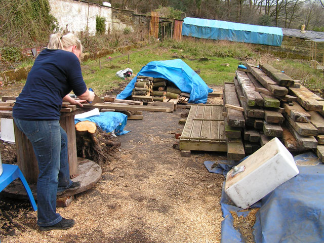 woodpile and sawing