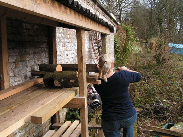 putting a wall on the woodshed