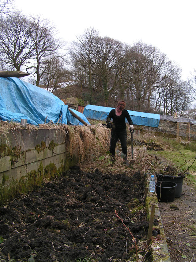 Michelle digging over the veg garden