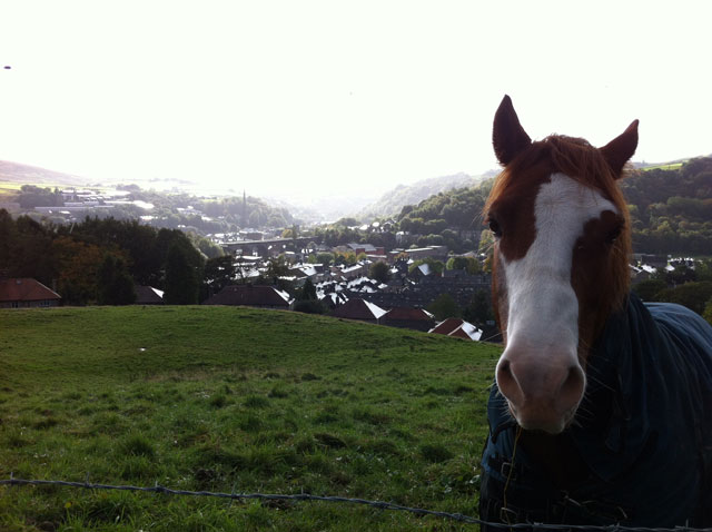 Todmorden and a horse