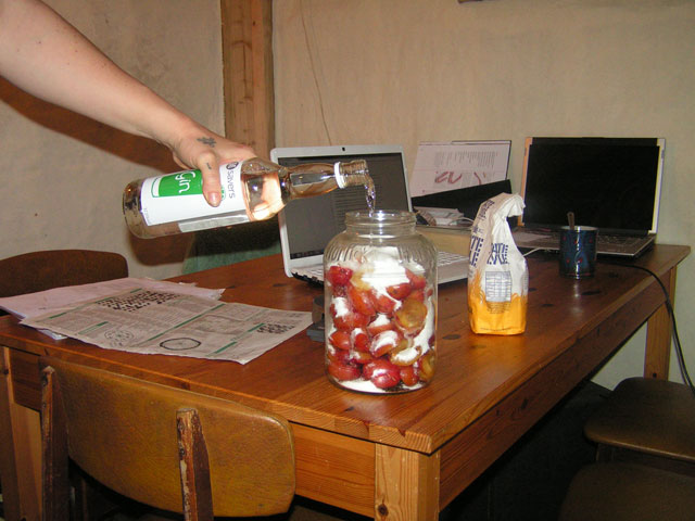 Plum gin being made