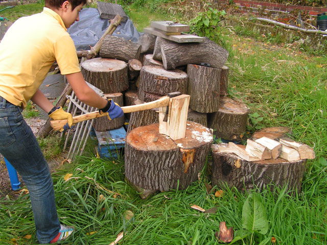 Anna chopping wood