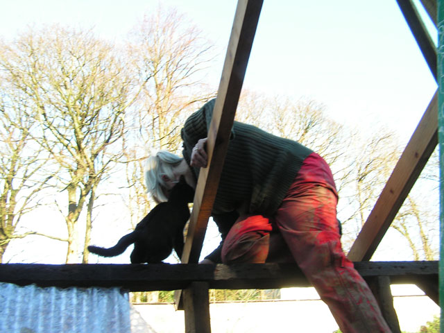 cat being helpful