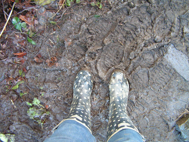 muddy wellies