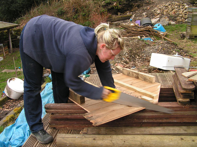 sawing the chicken house