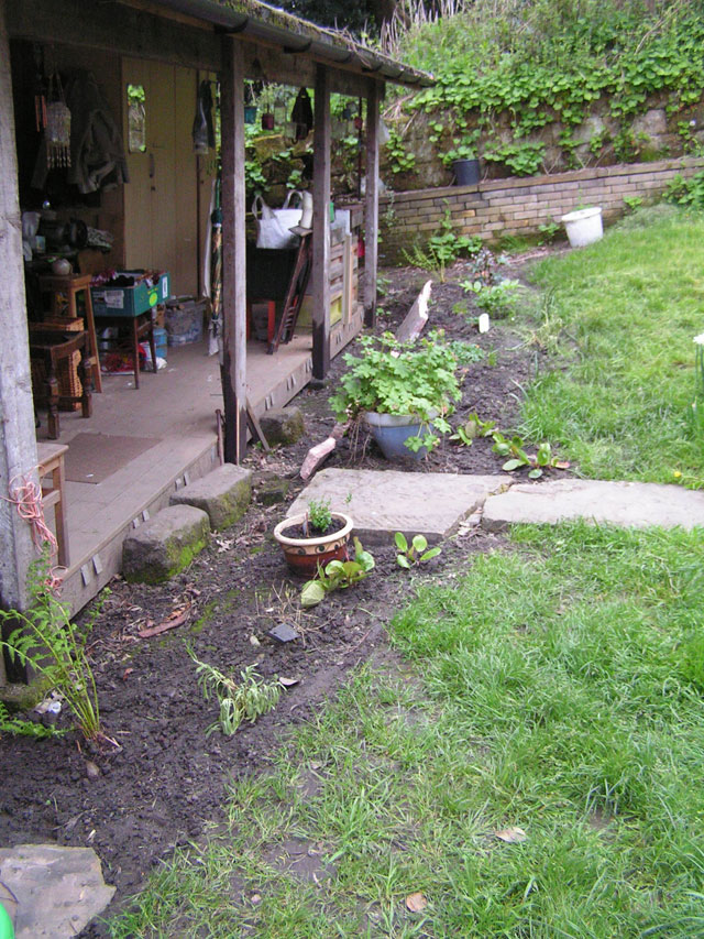 new front garden