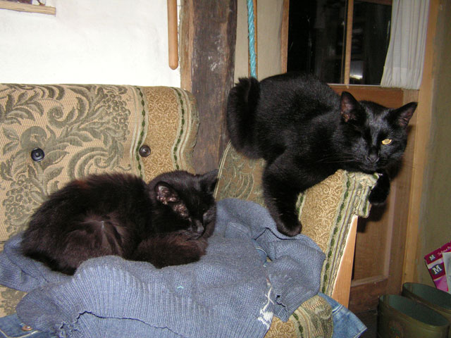 Jack and Lily