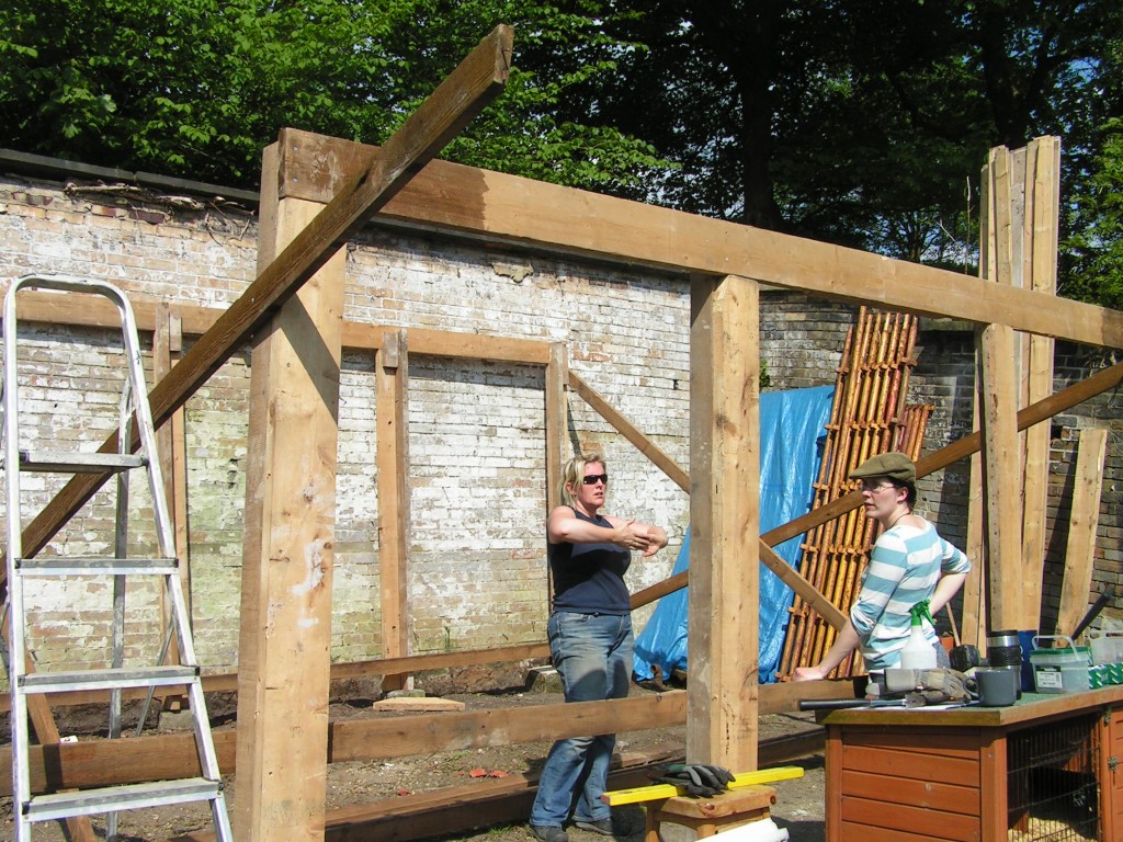 discussing the shed