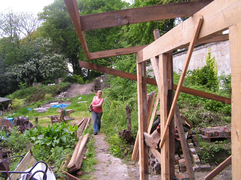 working on the shed