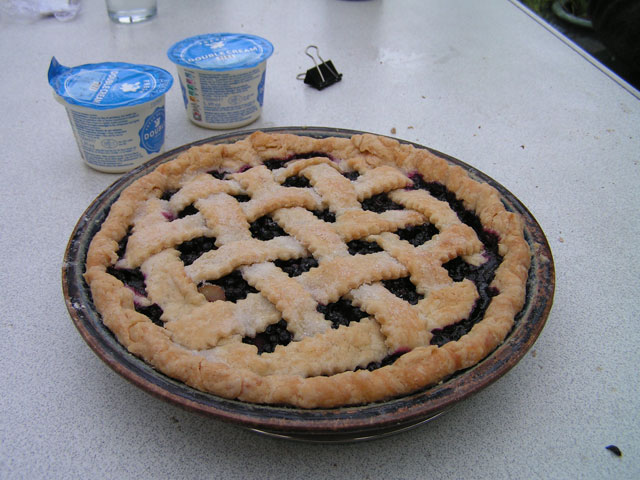 Bilberry and rhubarb pie