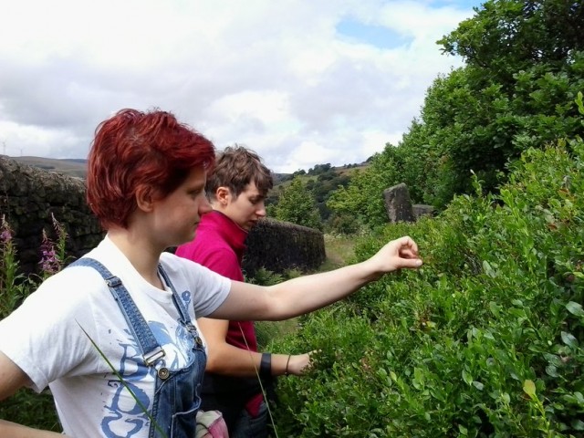 Esther picking bilberries