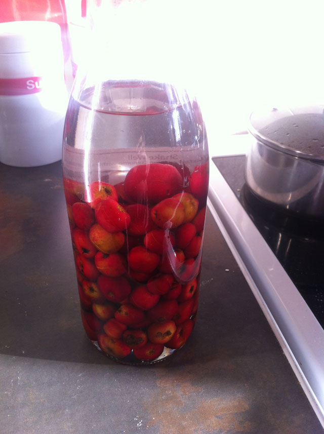 crabapple gin