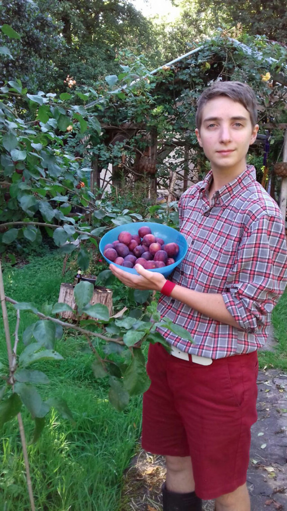 plums